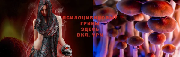 прущие крисы Лабытнанги