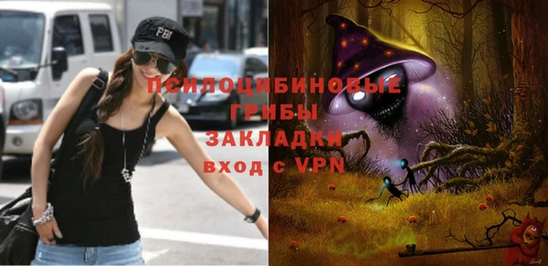 прущие крисы Лабытнанги