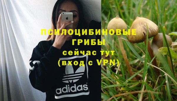 прущие крисы Лабытнанги