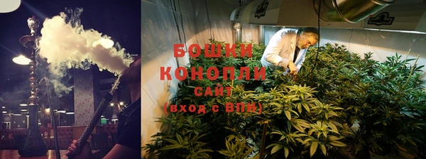 прущие крисы Лабытнанги