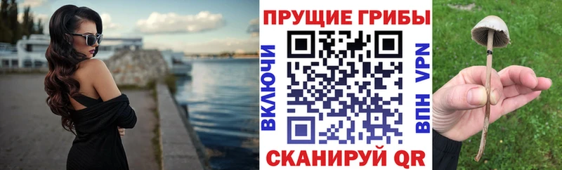 Псилоцибиновые грибы GOLDEN TEACHER  Волгоград 